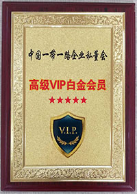 一帶一路VIP